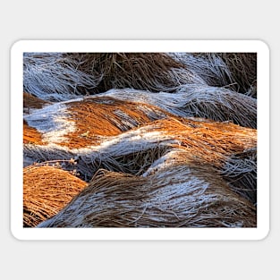 Frosty tussock Sticker